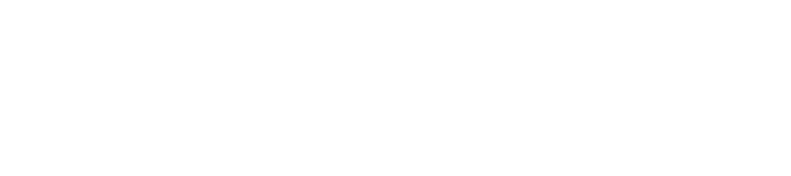 Logotipo branco da Mudança Expressa.